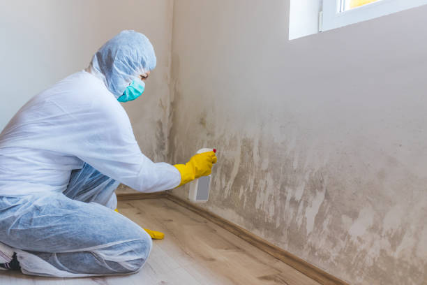 Licensed Mold Testing service in Alberta, VA - WQB Mold Removal